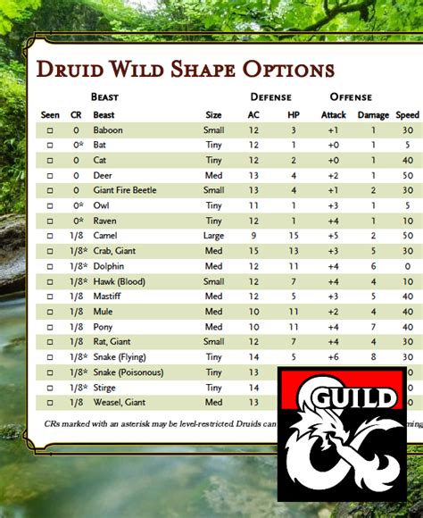 5e wildshape options.